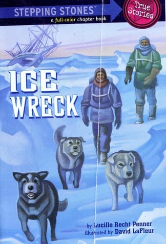 Ice Wreck