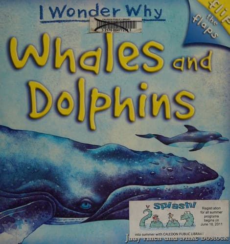 I wonder why flip the flaps whales and dolphins