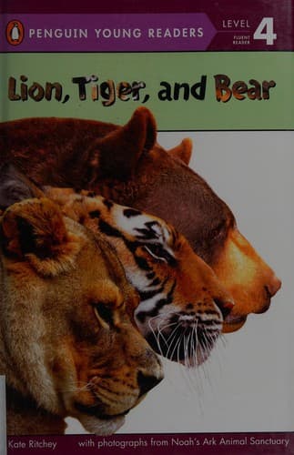 Lion, Tiger, and Bear, Level 4