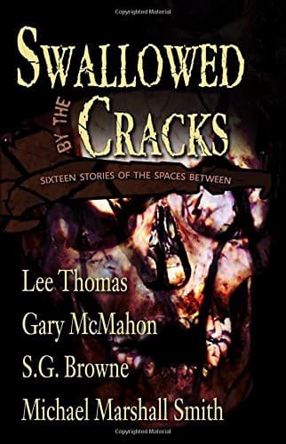 Swallowed By The Cracks