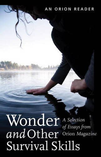 Wonder and Other Survival Skills