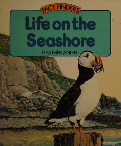 Life on the seashore