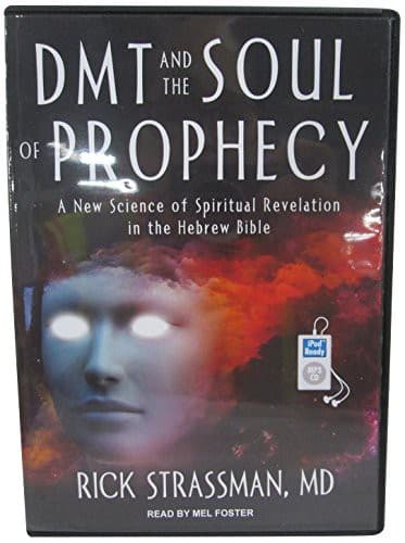 DMT and the Soul of Prophecy