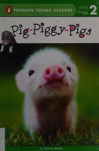 Pig-Piggy-Pigs