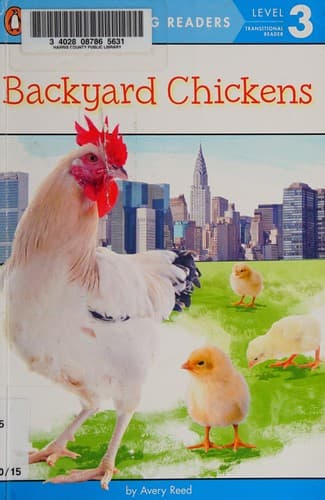Backyard Chickens
