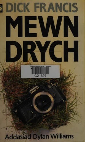 Mewn Drych