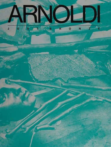 Arnoldi just bronze