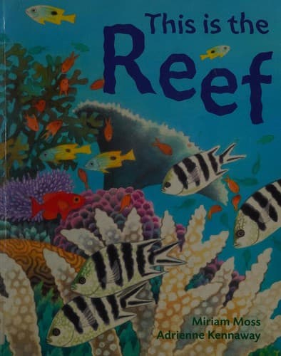 This is the reef