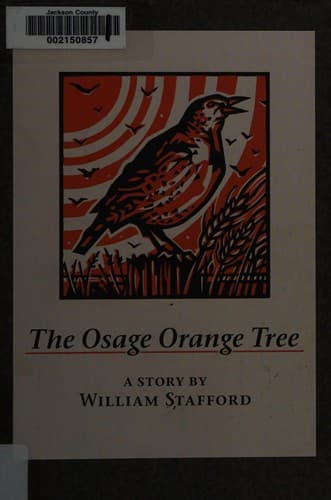 Osage Orange Tree