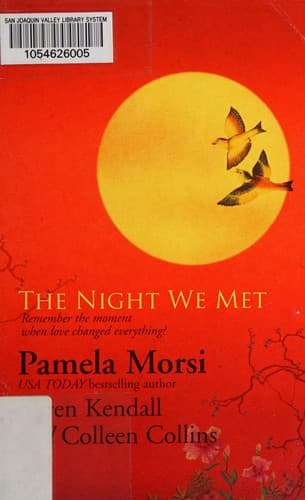 The night we met