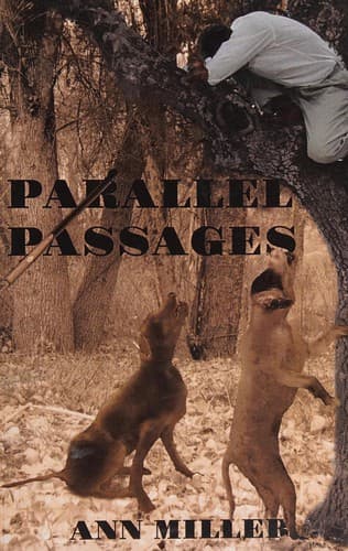 Parallel passages