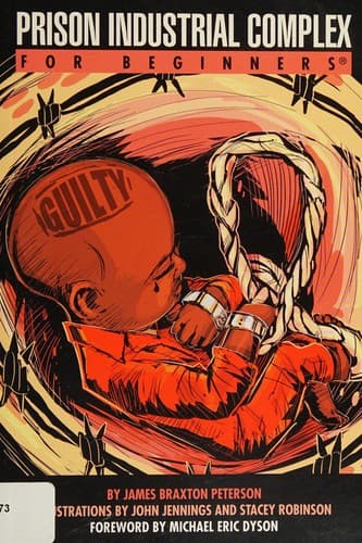 Prison industrial complex for beginners