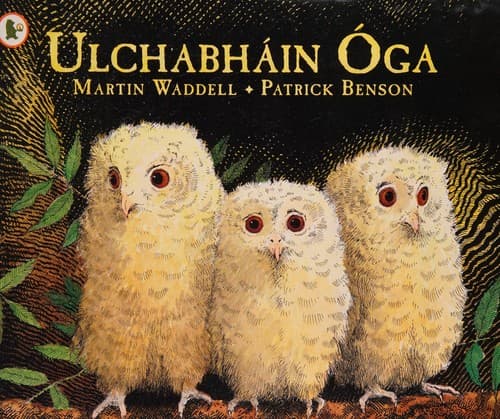 Ulchabh in aga