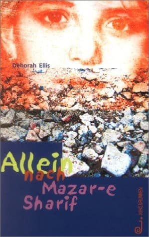 Allein nach Mazar-e Sharif.
