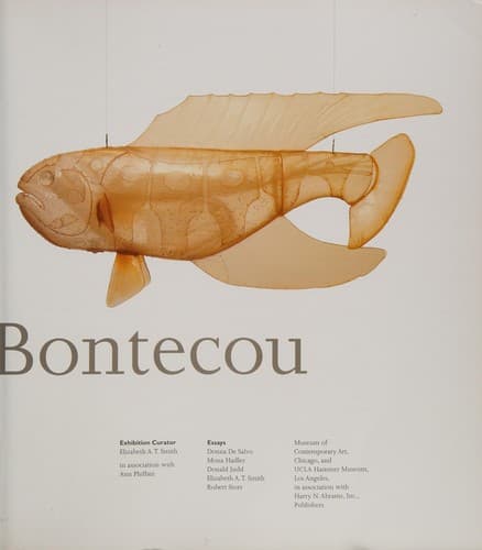 Lee Bontecou