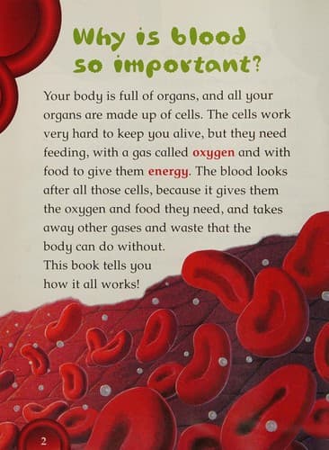 How Blood Works