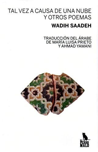 Tal vez a causa de una nube y otros poemas