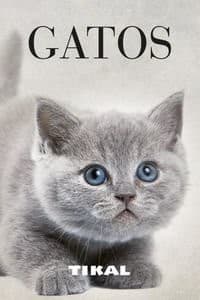 Fotolibros estuche gatos