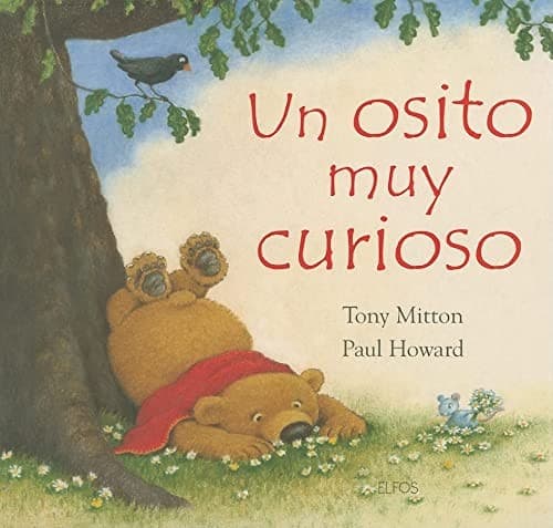 Un osito muy curioso
