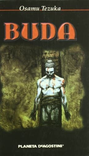 Buda nº 08/10