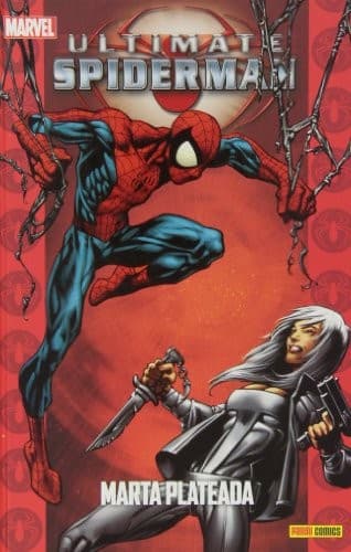 Spiderman 17