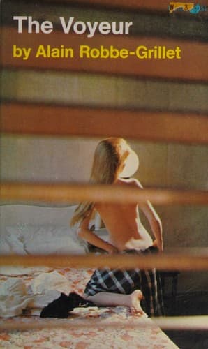 The Voyeur