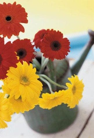 Beauty in Bloom Journal