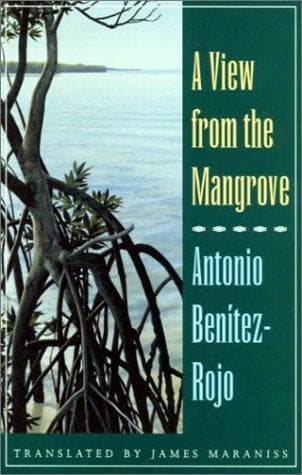 A view from the Mangrove
