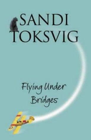 Flying under bridges