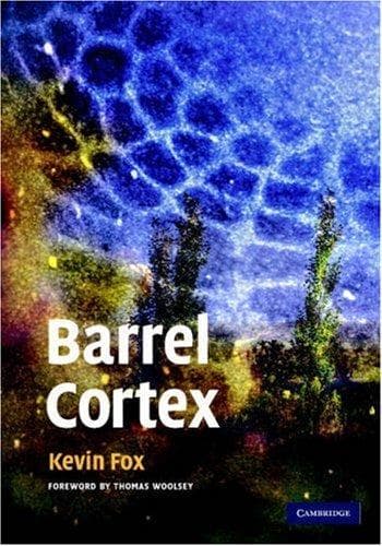 Barrel Cortex