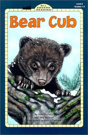 Bear cub