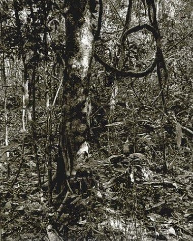 Balthasar Burkhard: Photographer