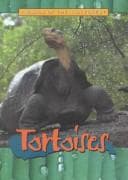 Tortoises (Animals of the Rain Forest)