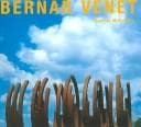 Bernar Venet
