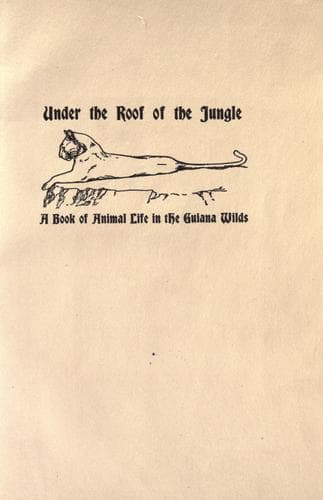 Under the roof of the jungle