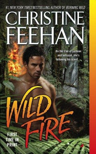 Wild Fire (Leopard)