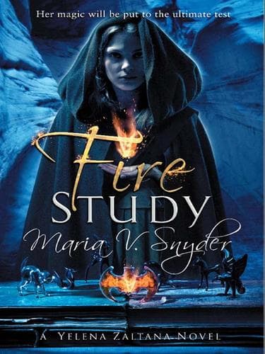 Fire Study