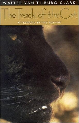 The track of the cat