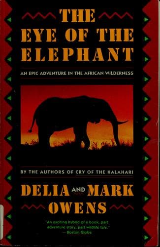 The Eye of the Elephant