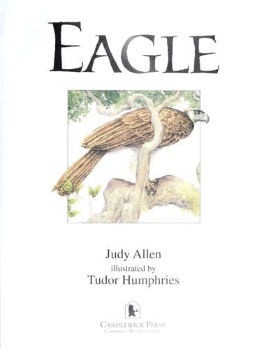 Eagle
