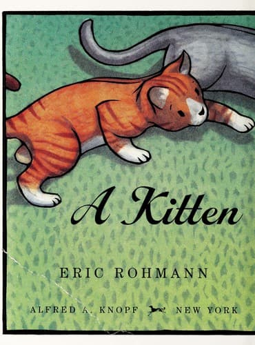 A kitten tale