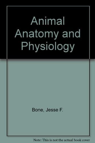 Animal anatomy and physiology