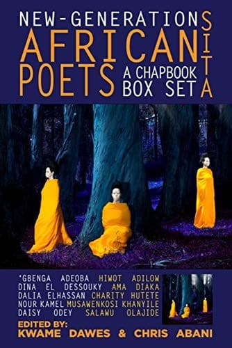 New-Generation African Poets