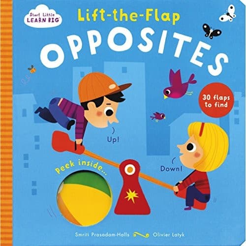 Start Little Learn Big Lift-the-Flap Colours
