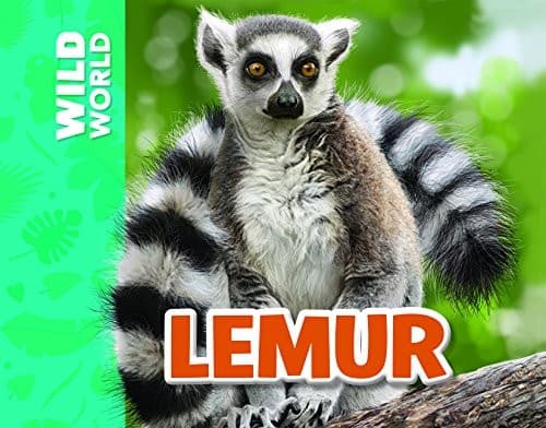 Lemur