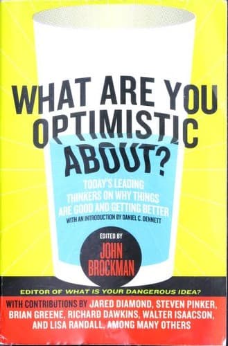 What Are You Optimistic About?