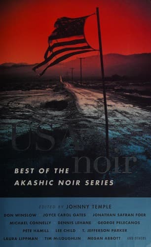 USA noir
