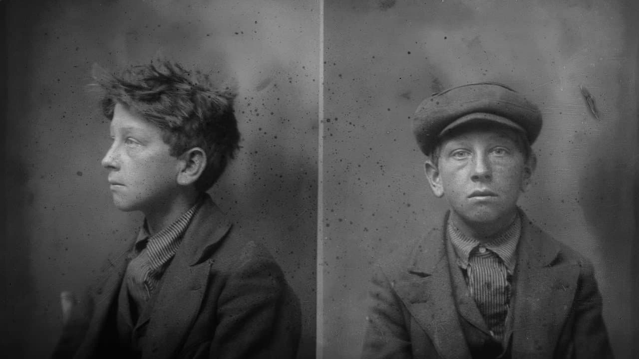 Crime and Punishment in America
