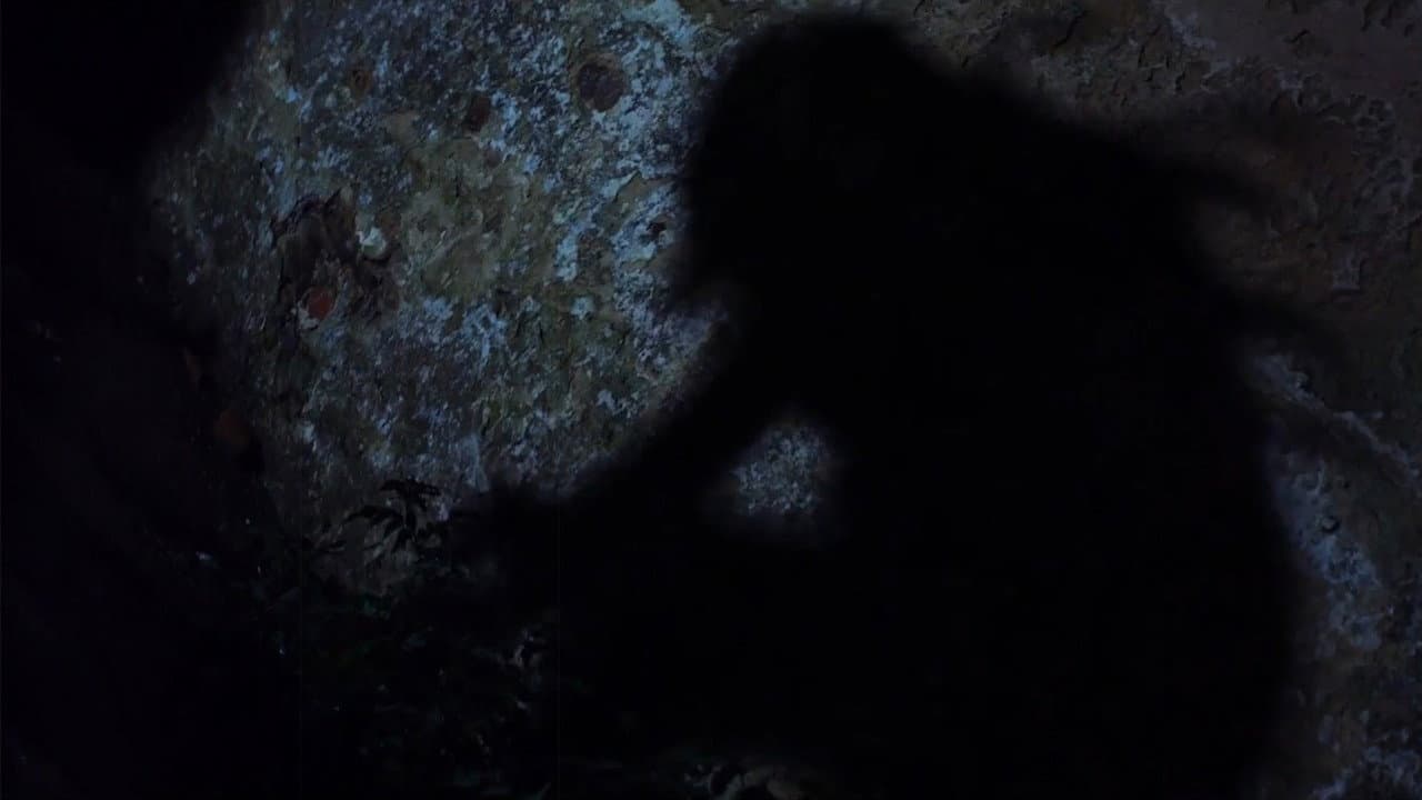 A Dark Path