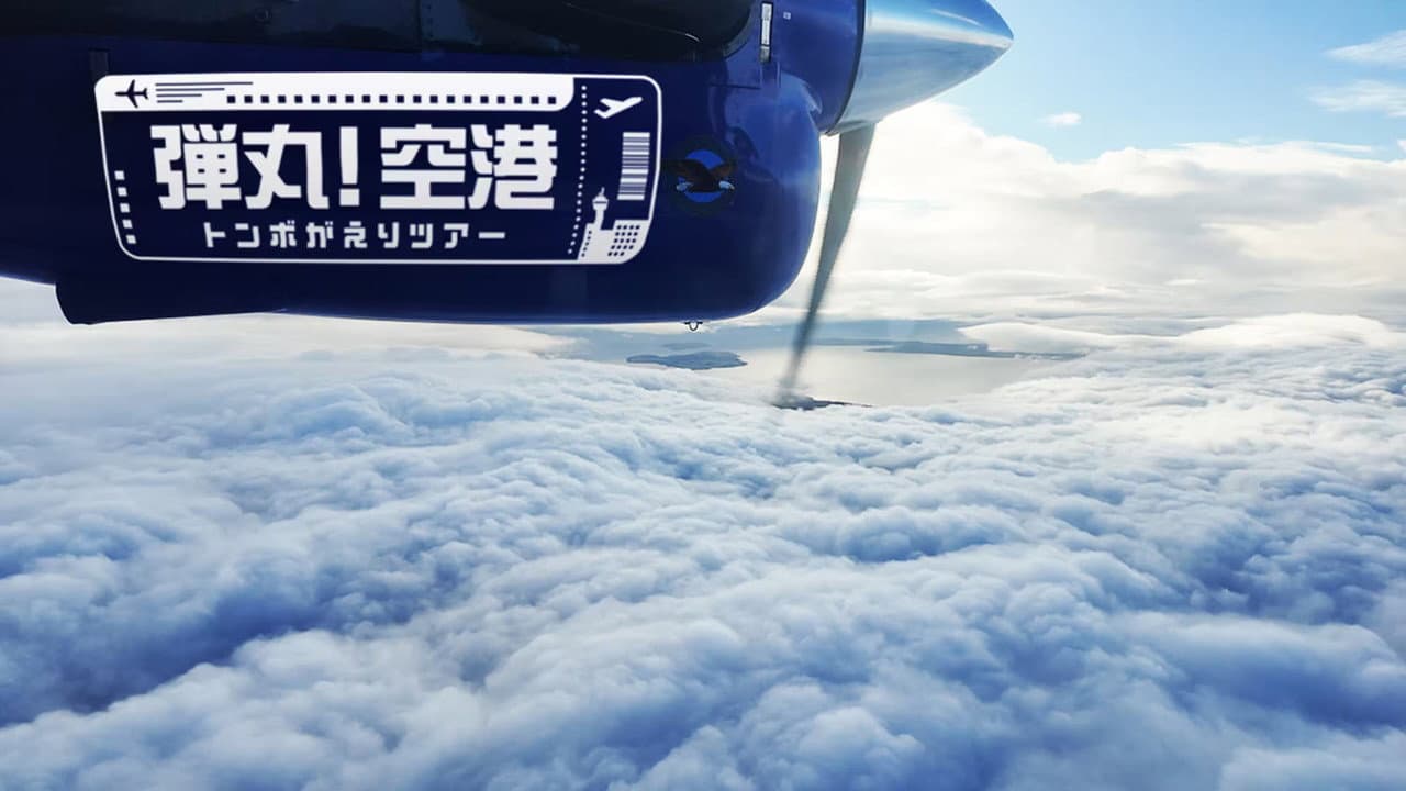 弾丸！空港トンボがえりツアー
